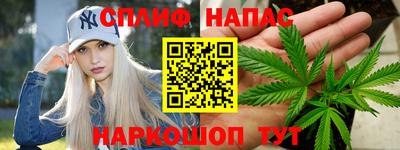 Альфа ПВП Новодвинск