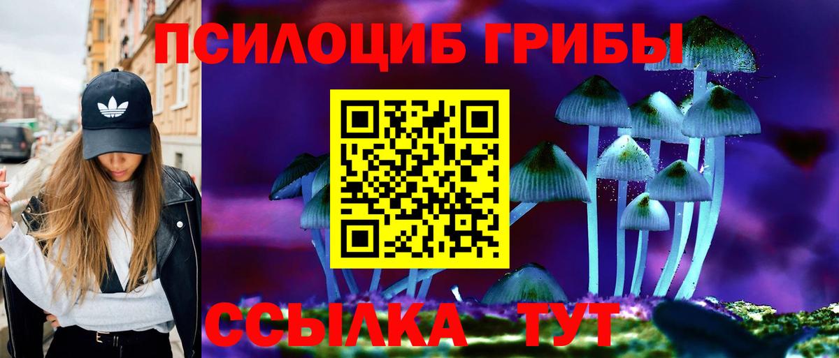 Псилоцибиновые грибы GOLDEN TEACHER Сухой Лог