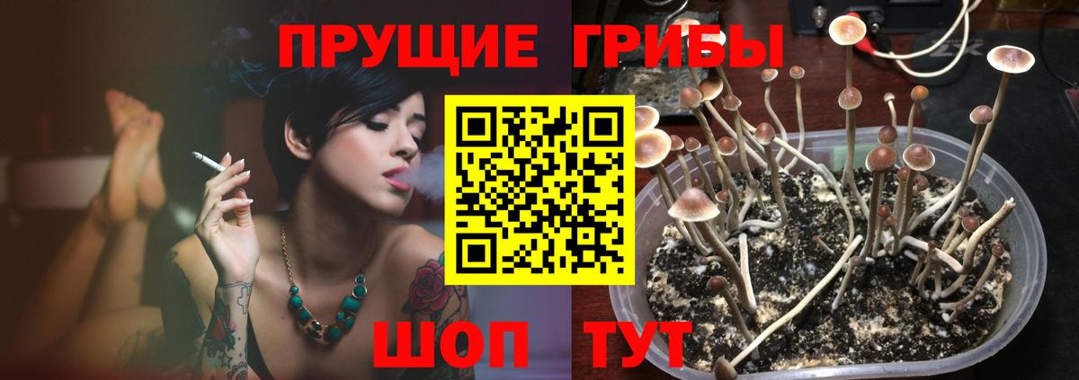 Псилоцибиновые грибы MAGIC MUSHROOMS  Вход с VPN  Псилоцибиновые грибы Magic Shrooms  Сухой Лог 